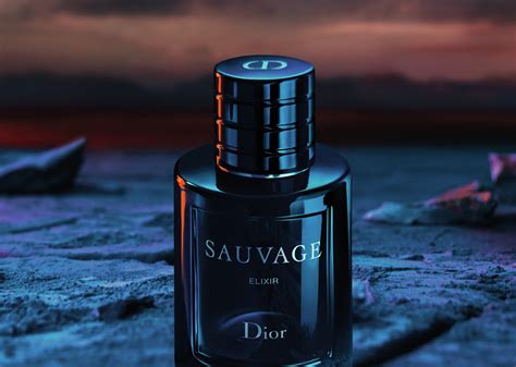 dior sauvage elixir oder parfum|dior sauvage elixir reviews.